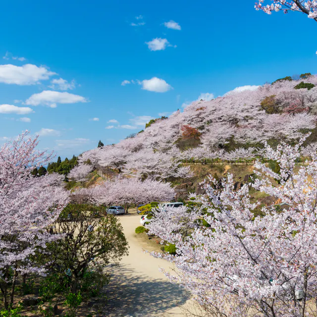 Tanematsuyama Park Tanematsuyama Park