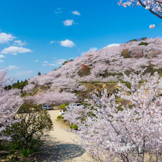 Tanematsuyama Park Tanematsuyama Park
