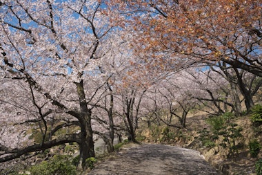 Tanematsuyama Park