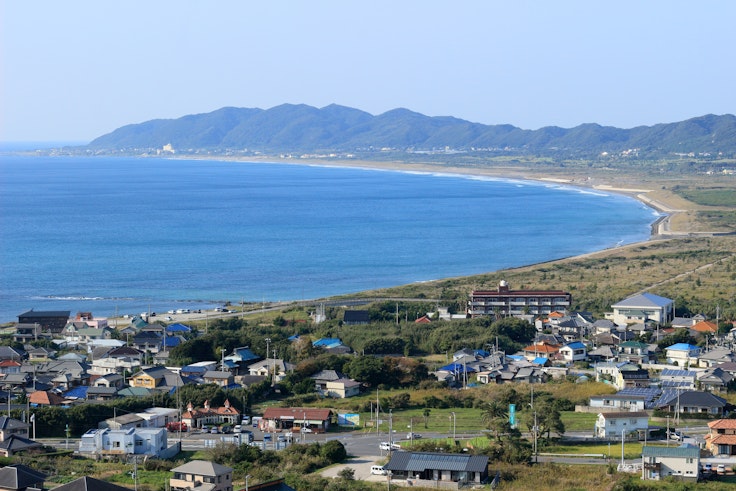 Tateyama Wild Bird Forest