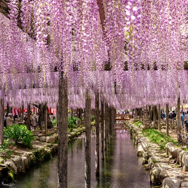 Tennogawa Park Tennogawa Park