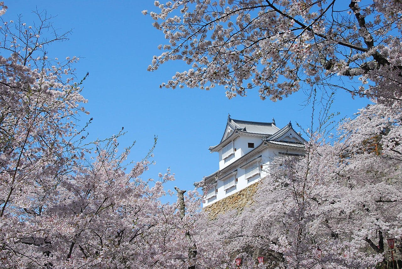 Tsuyama Castle (Kakuzan Park)