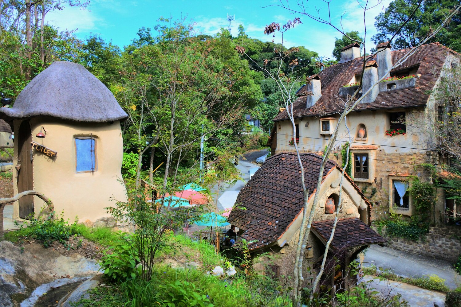 Warmth Forest (Design House)