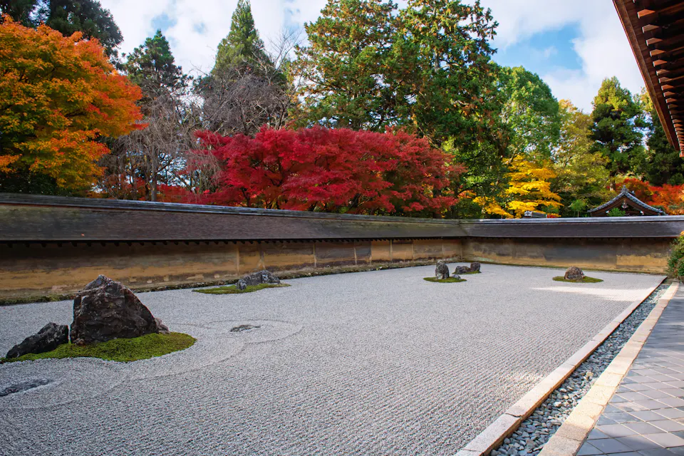 Rock garden and colorful fall leaf at Ryoan-ji temple, Kyoto, Japan