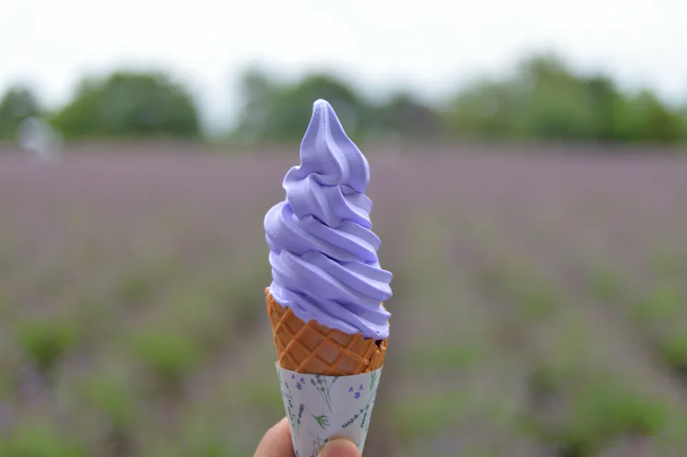 Hokkaido Furano Lavender Field Lavender Soft Cream Hokkaido Furano Lavender Field Lavender Soft Cream