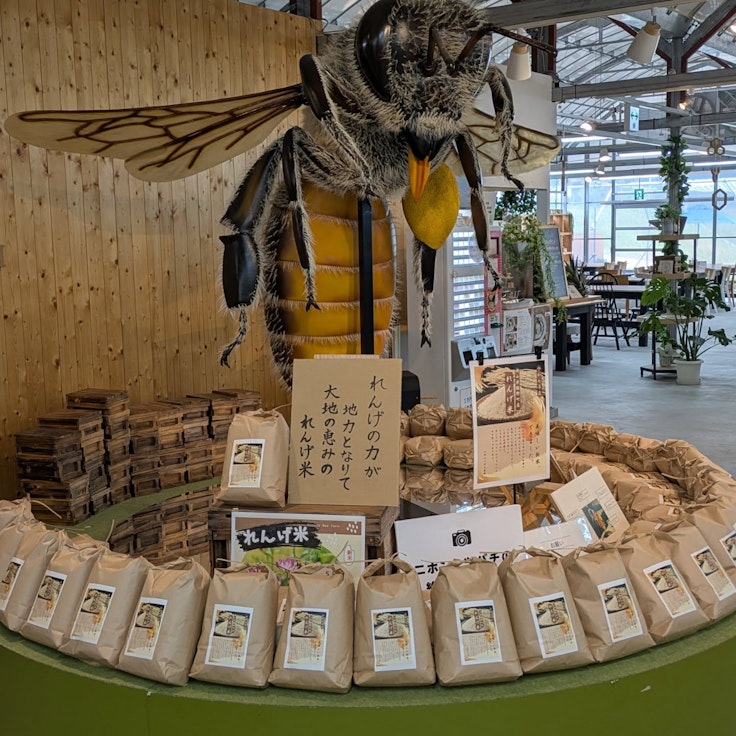 Yamada Bee Farm Honey Bee Farm