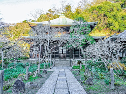 Zuisenji Temple, Kamakura