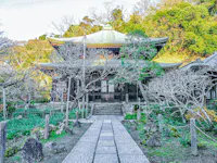 Zuisenji Temple, Kamakura