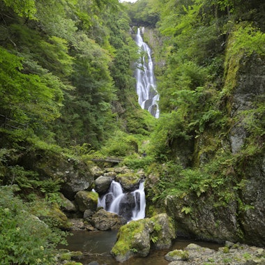 Kanba Falls Kanba Falls