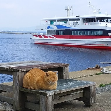 Ainoshima Island Ainoshima Island