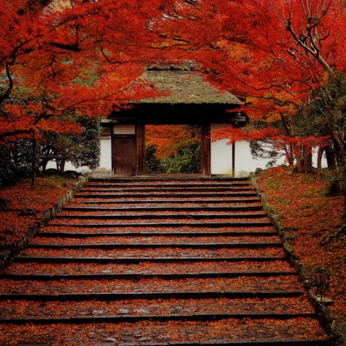 Anrakuji Temple Anrakuji Temple