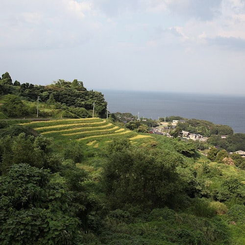 Nii Rice Terraces Nii Rice Terraces