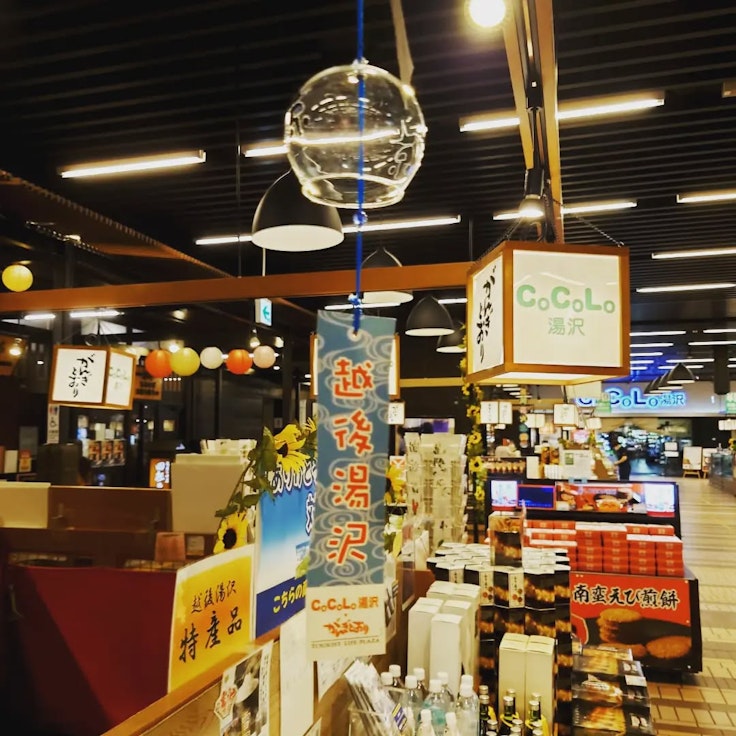 CoCoLoYuzawa Gangidori