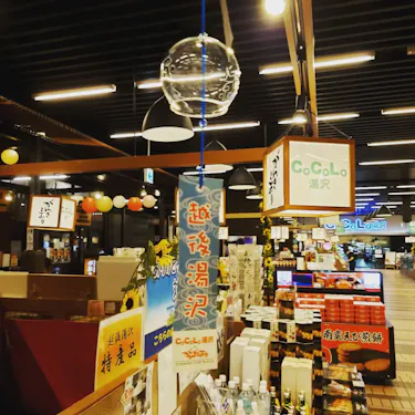 CoCoLoYuzawa Gangidori