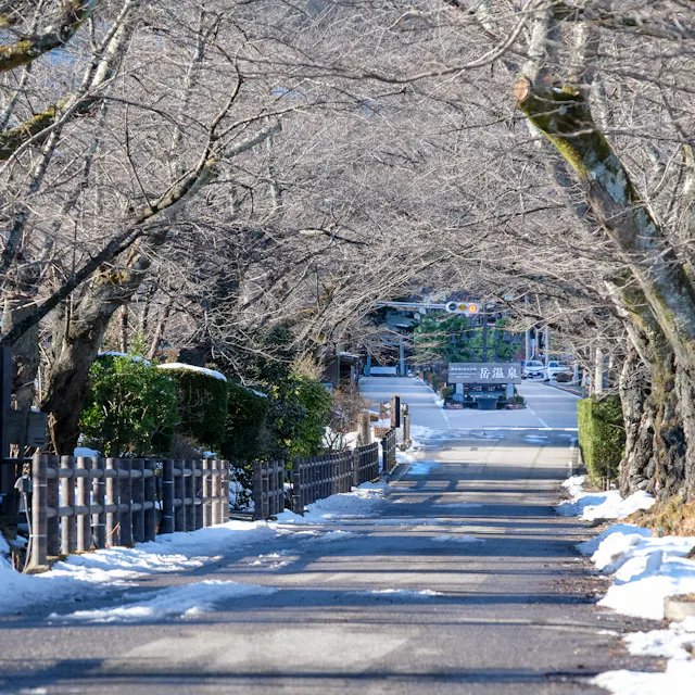 Dake Onsen Dake Onsen