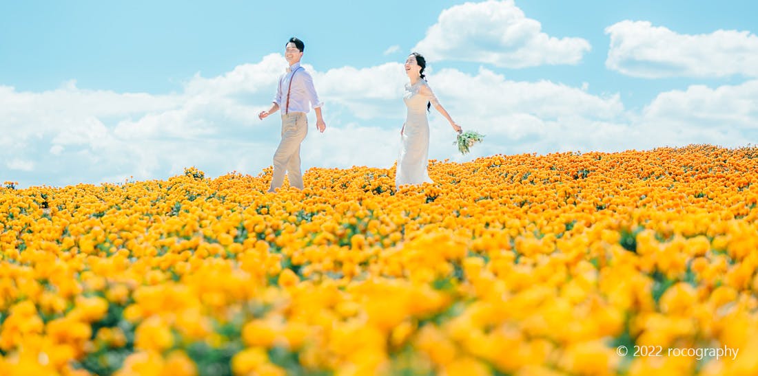Flower Land Kamifurano