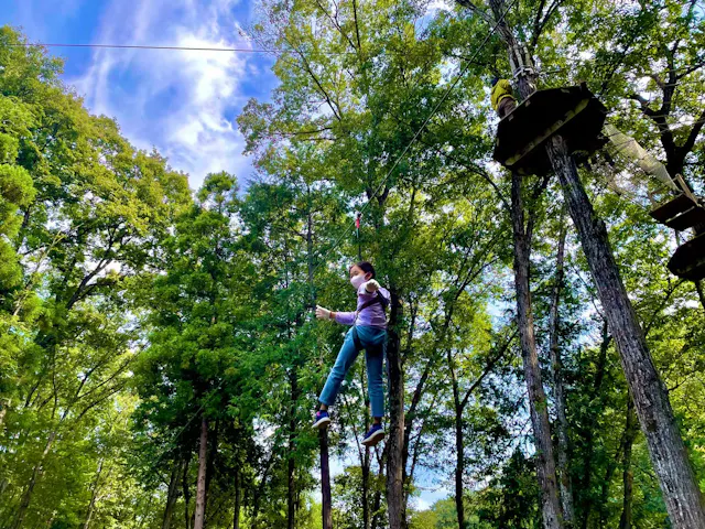 Forest Adventure CHICHIBU