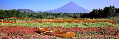 Fuji Motosuko Resort