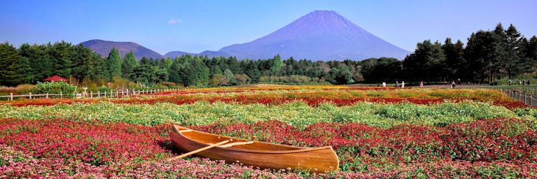 Fuji Motosuko Resort