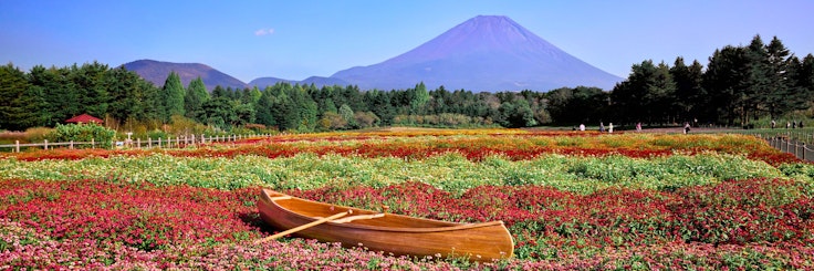 Fuji Motosuko Resort