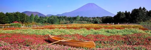 Fuji Motosuko Resort