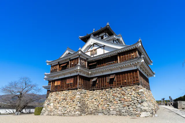 Fukuchiyama Castle