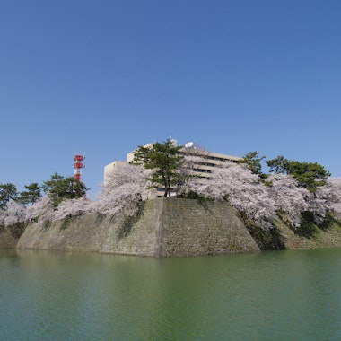 Fukui Castle Ruins Fukui Castle Ruins