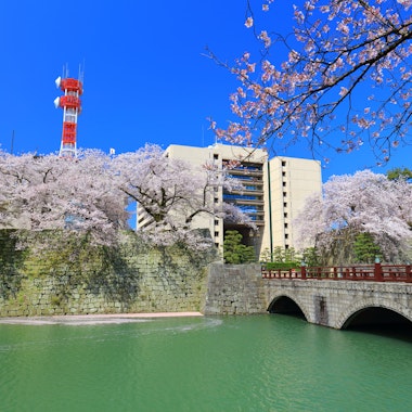 Fukui Castle Ruins Fukui Castle Ruins
