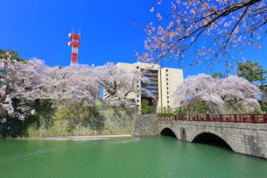 Fukui Castle Ruins
