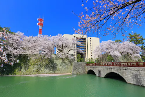 Fukui Castle Ruins