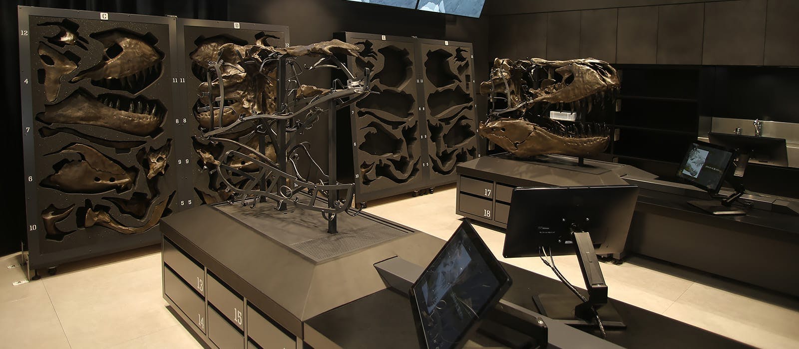 Fukui Prefectural Dinosaur Museum