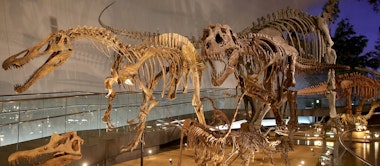 Fukui Prefectural Dinosaur Museum