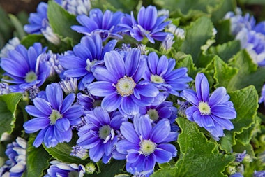 Fukui Prefecture General Green Center