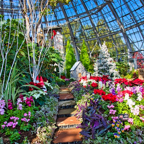 Fukui Prefecture General Green Center Fukui Prefecture General Green Center