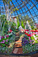 Fukui Prefecture General Green Center