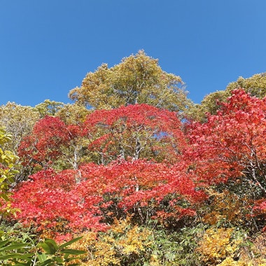 Hachimantai Hachimantai