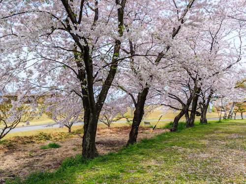 Hidagawa Park Hidagawa Park