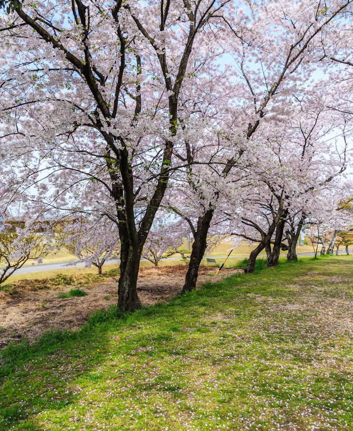 Hidagawa Park Hidagawa Park, Gero