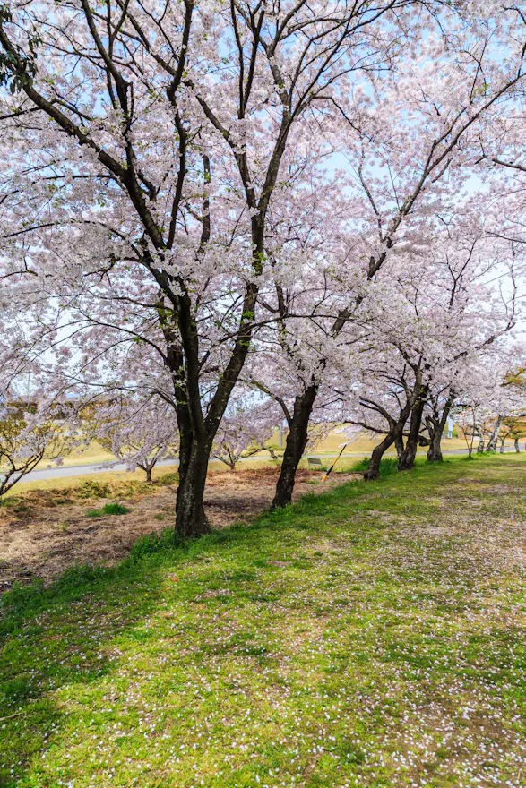 Hidagawa Park, Gero