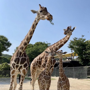Himeji Central Park Himeji Central Park