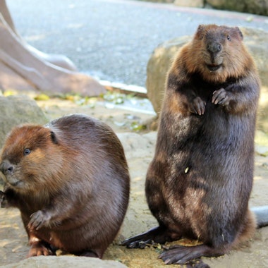 Himeji Central Park Himeji Central Park