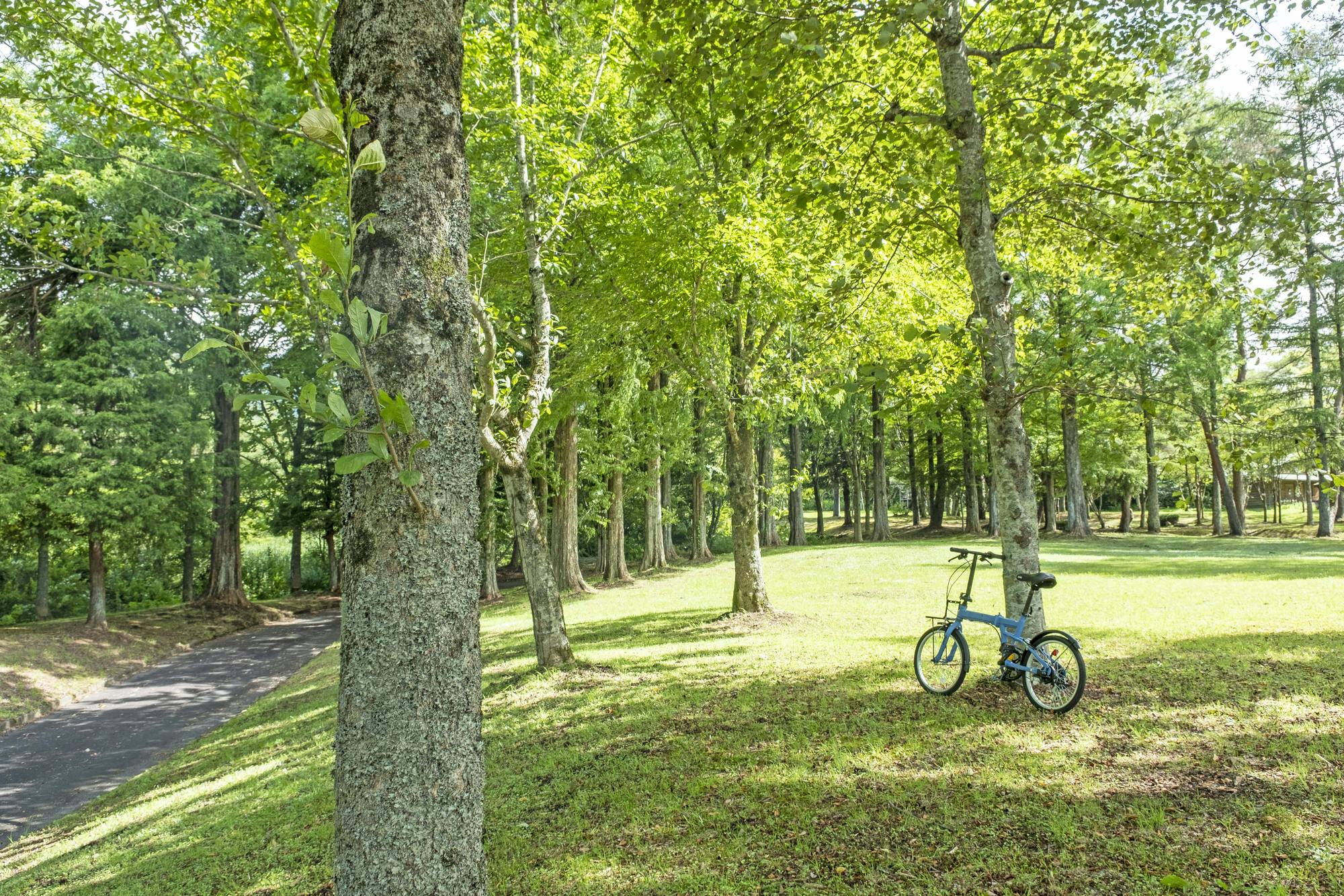 Hiruzen Plateau Bicycle Path