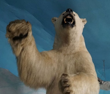 Tsuyama Natural Science History Museum