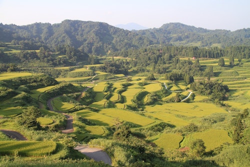Hoshitoge Rice Terraces