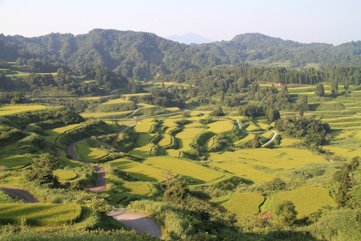 Hoshitoge Rice Terraces