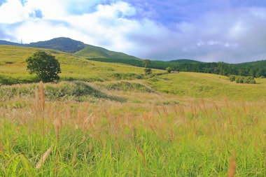 Inatori Hosono Kogen