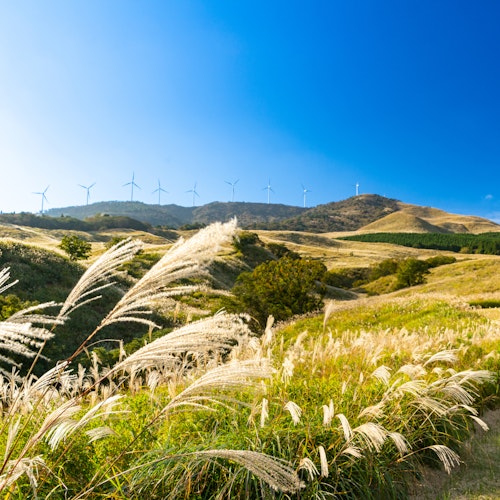 Inatori Hosono Kogen Inatori Hosono Kogen