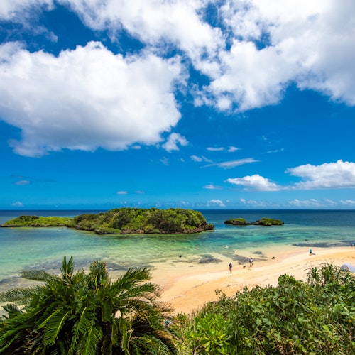 Iriomote Island Iriomote Island