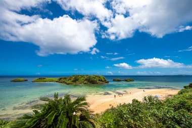 Iriomote Island
