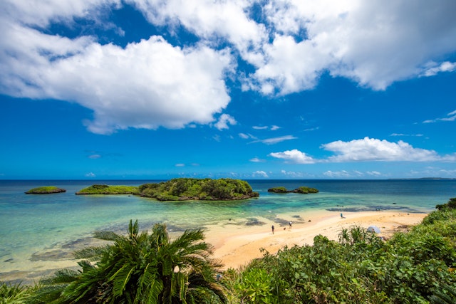 iriomote-island-okinawa-trip-to-japan